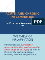 2.acute & Chronic Inflammation, S1