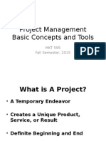 MKT 595 Project MGT Overview