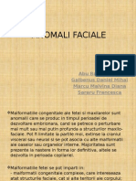 Anomali Faciale