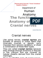 The Functional Anatomy of The Cranial Nerves