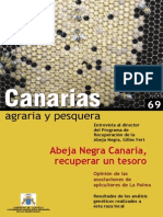 Abeja Negra Canaria