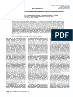 Surface Analyses of Pyrolysed Rice Husk Using Scanning Force Micros