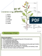 Morphology of Flowering Plants: 1. Root 2. Stem 3. Leaf 4. Flower 5. Fruit 6. Seed