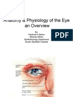 Anatomy &amp Physiology of The Eye