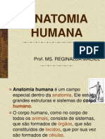 Anatomia Humana PDF