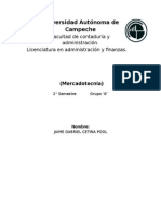 Efectos Negativos de Las Grandes Empresas