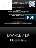 Taxonomia de Boulding