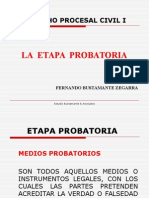 Etapa Probatoria