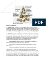 Nutrición, Conceptos Básicos