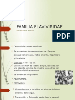 Familia Flaviviridae