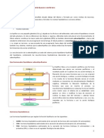 Sistema Neuroendocrino Hipotalamo e Hipofisis PDF