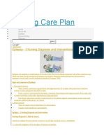 Nursing Care Plan