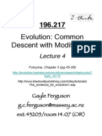 L4 Common Descent 2015