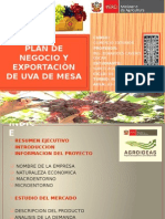 Plan de Negocio y Exportacion Uva de Mesa