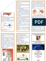 Triptico Sistema Nervioso