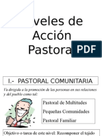 Niveles de Accion Pastoral