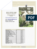 Lamb Availability 10:15 PDF