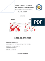 Tipos de Anemias