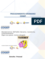 11 - Curso Cogep Procedimiento Ordinario Cogep