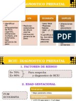 Restriccion de Crecimiento Intrauterino Cris