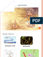 Sol Intracranial