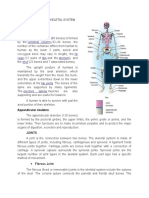 Parts of The Skeletal System