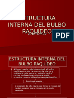 Anatomía de Bulbo Raquídeo