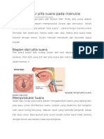 Apakah Fungsi Pita Suara Pada Manusia Fix