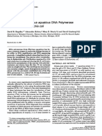 Analytical Biochemistry 1990 Engelke Taq Purification