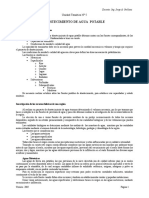 Ingenieria Sanitaria A4 Capitulo 05 Abastecimiento de Agua Potable