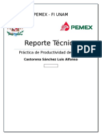 Reporte PEMEX