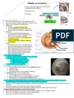 Middle Ear, Ossicles, Eustachian Tube (Done)