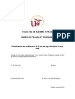 Planificación de Auditoría de C.C.A.A. de Agro Sevilla S. Coop. and