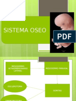 Embriologia Sistema Oseo