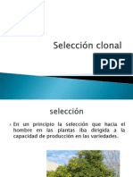 Seleccion - Clonal Expzzzo Fitome