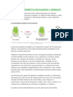 Ingeniería Genética en Plantas y Animales-Ecología