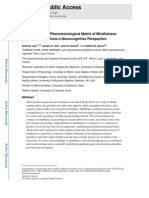 Antoine Lutz Et Al. - Investigating The Phenomenological Matrix of Mindf