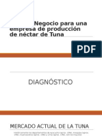 Plan de Negocio - Nectar de Tuna