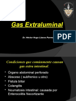 Gas Extraluminal