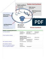 Antibiotics Classification