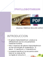 Diphyllobotrium