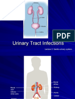 K - 9 Urinary Tract Infection (Ilmu Penyakit Dalam)