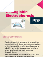 Electrophoresis 4