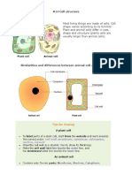 02 Cells Biology Notes IGCSE 2014