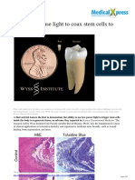 2014 05 Coax Stem Cells Regrow Teeth