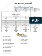 Animal Names M & F and Groups