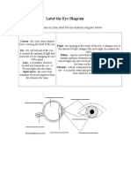 Anatomy of The Eye Worksheet