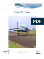 Emb312 PDF