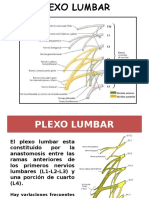 Plexo Lumbar 