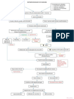 Pathophysiology of Cholera